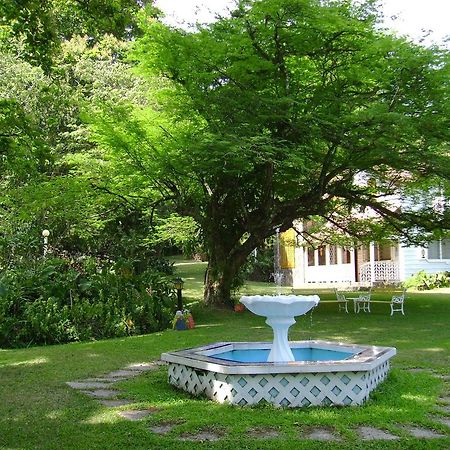 Park Eden Bed&Breakfast Los Llanitos Dış mekan fotoğraf