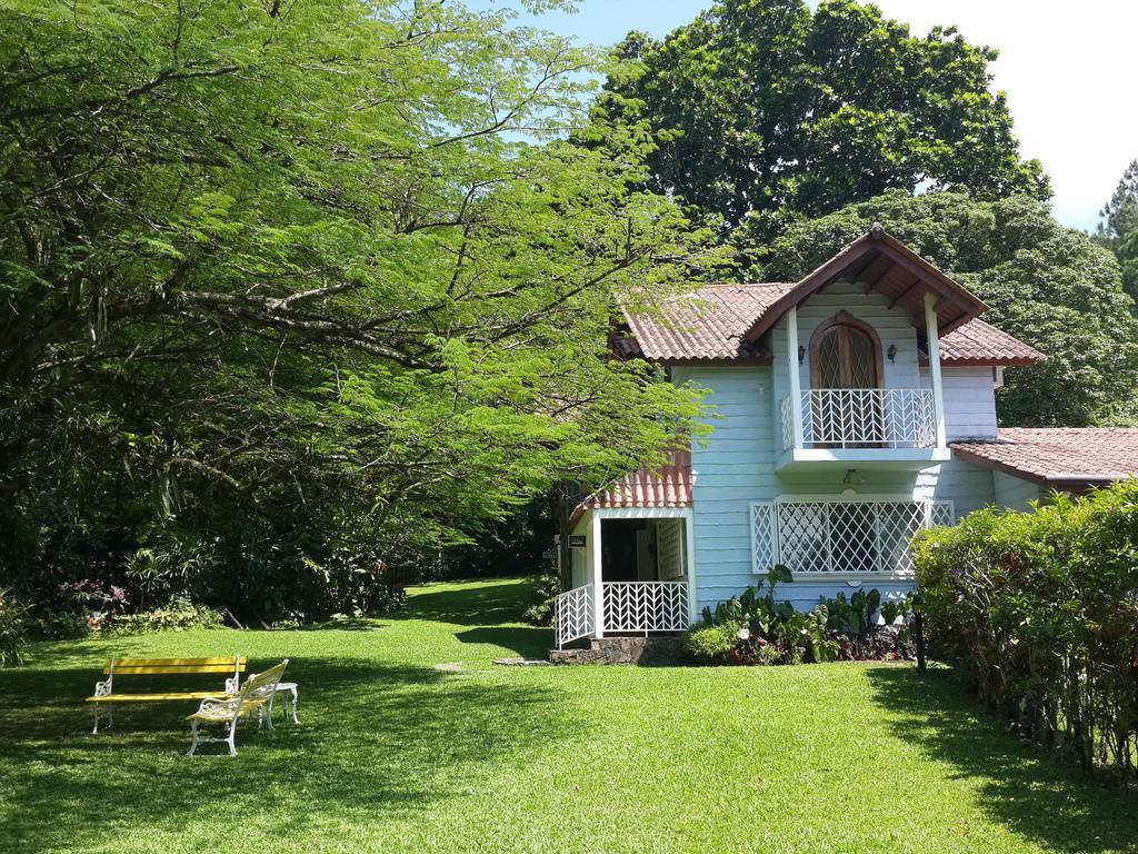 Park Eden Bed&Breakfast Los Llanitos Oda fotoğraf