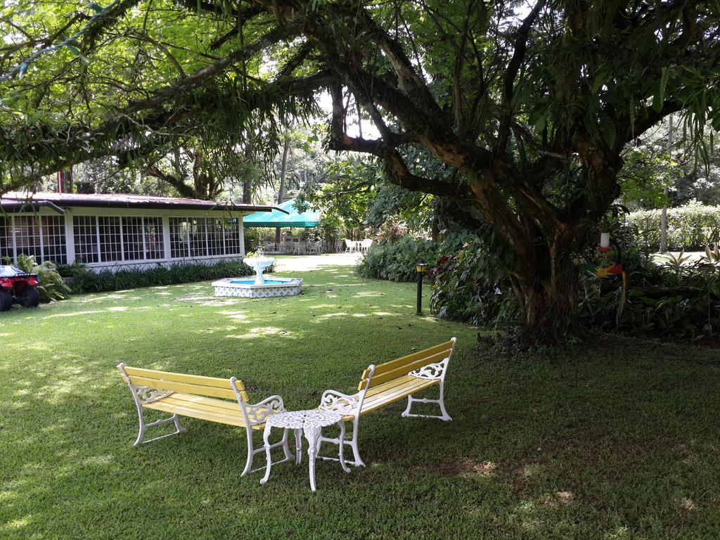 Park Eden Bed&Breakfast Los Llanitos Dış mekan fotoğraf
