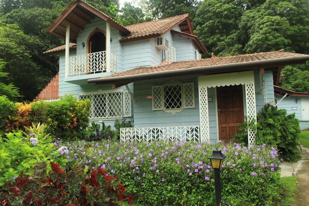 Park Eden Bed&Breakfast Los Llanitos Oda fotoğraf