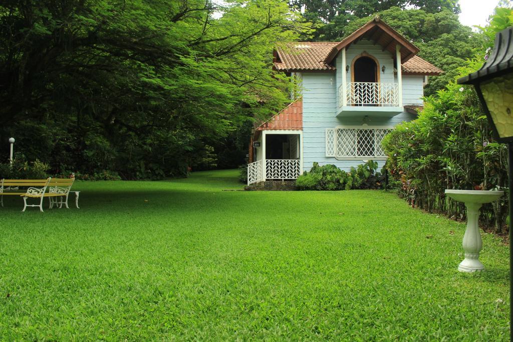 Park Eden Bed&Breakfast Los Llanitos Oda fotoğraf