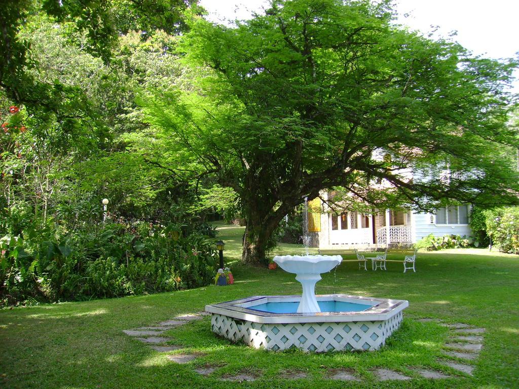 Park Eden Bed&Breakfast Los Llanitos Dış mekan fotoğraf